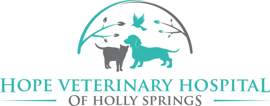 Hope Veterinary Hospital of Holly Springs